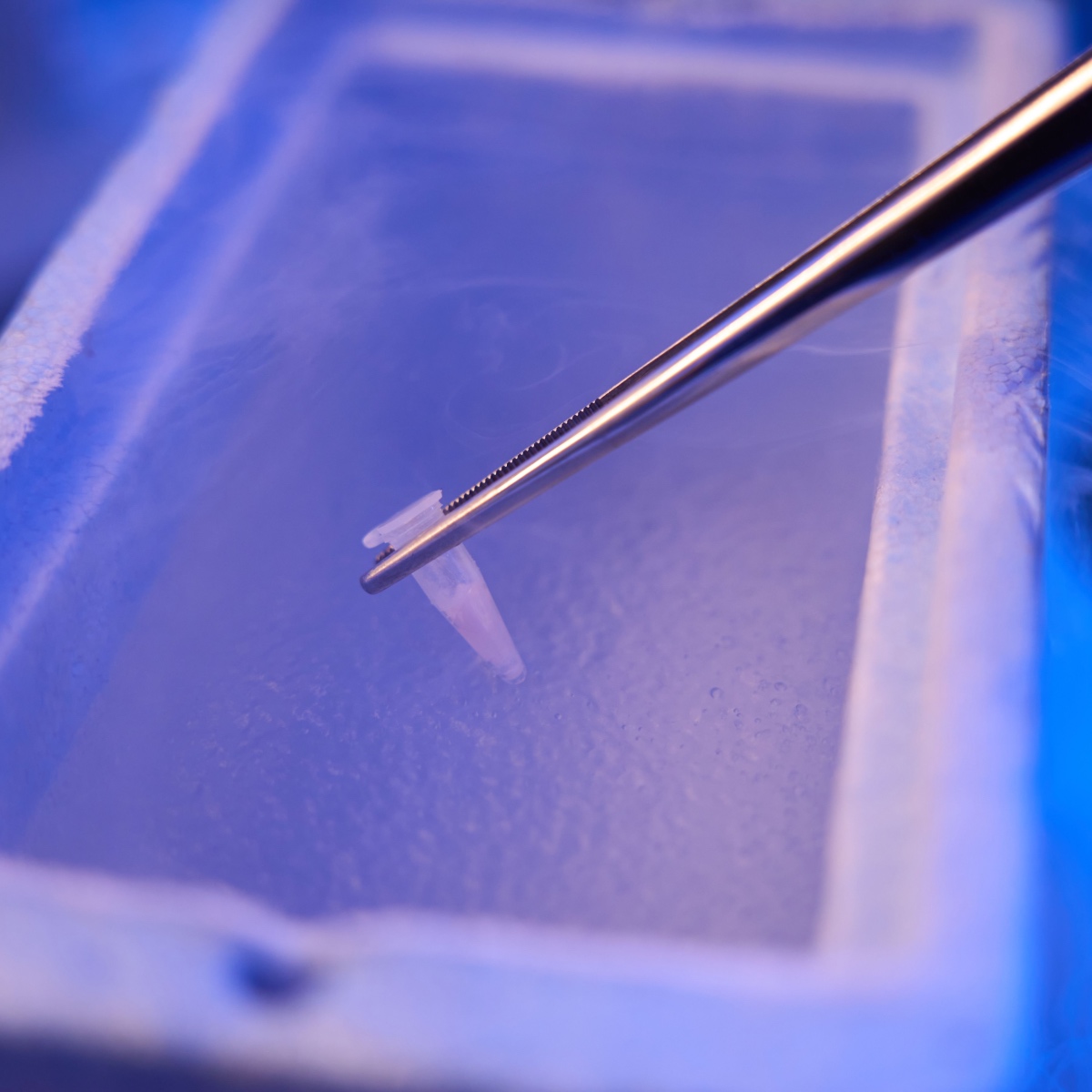 Egg freezing in Kingwood IVF